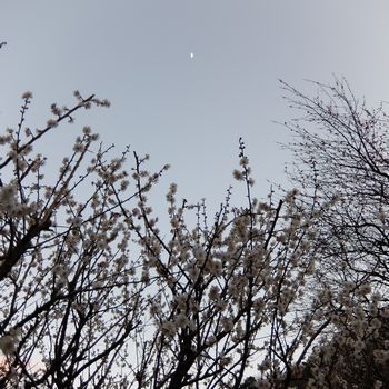 f:id:myukmyuk:20170205234445j:plain
