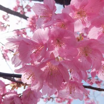 f:id:myukmyuk:20170219000204j:plain