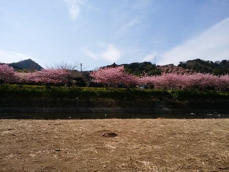 f:id:myukmyuk:20170219000254j:plain
