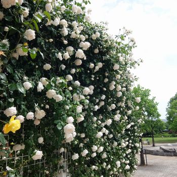 f:id:myukmyuk:20170514223545j:plain