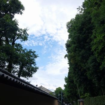 f:id:myukmyuk:20170704001904j:plain