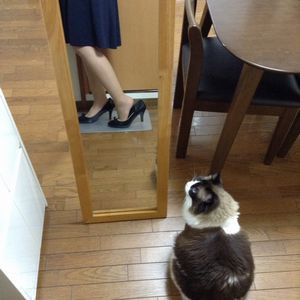 f:id:myukmyuk:20170709215832j:plain