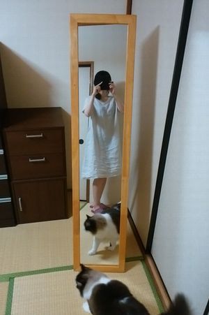 f:id:myukmyuk:20170817224018j:plain f:id:myukmyuk:20170817224018j:plain