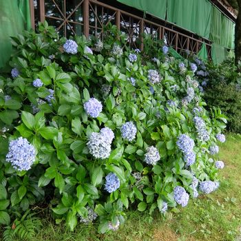 f:id:myukmyuk:20170820234427j:plain