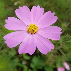 f:id:myukmyuk:20170905000344j:plain f:id:myukmyuk:20170905000344j:plain