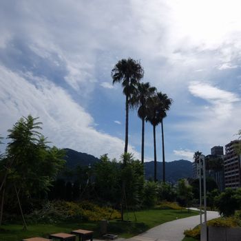 f:id:myukmyuk:20171001212539j:plain f:id:myukmyuk:20171001212539j:plain