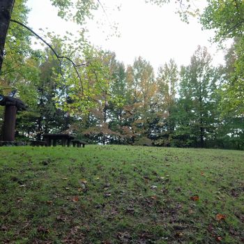 f:id:myukmyuk:20171011235007j:plain