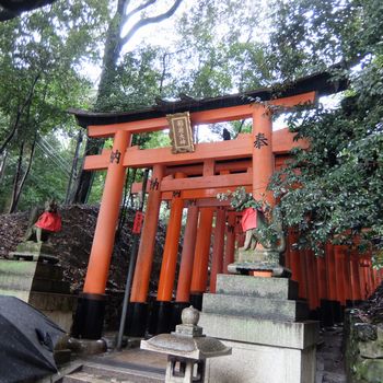 f:id:myukmyuk:20171013234002j:plain