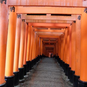 f:id:myukmyuk:20171013234004j:plain