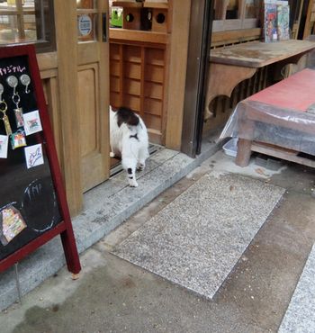 f:id:myukmyuk:20171013234010j:plain