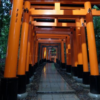 f:id:myukmyuk:20171013234014j:plain