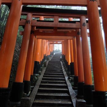 f:id:myukmyuk:20171013234019j:plain