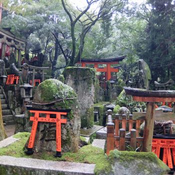 f:id:myukmyuk:20171013234036j:plain