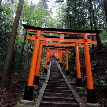 f:id:myukmyuk:20171013234040j:plain