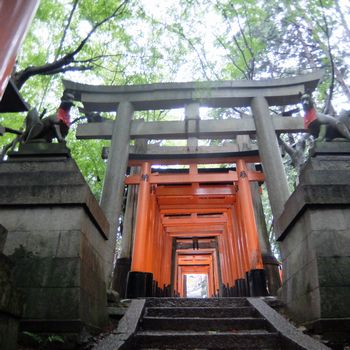 f:id:myukmyuk:20171013234045j:plain