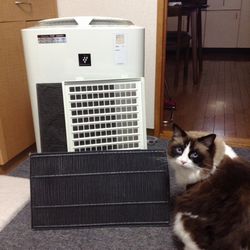 f:id:myukmyuk:20171026202732j:plain