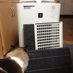 f:id:myukmyuk:20171026204156j:plain