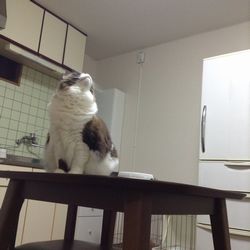 f:id:myukmyuk:20171026204827j:plain