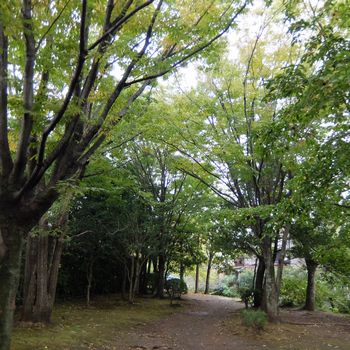 f:id:myukmyuk:20171028232902j:plain
