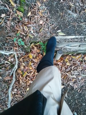 f:id:myukmyuk:20171112234737j:plain
