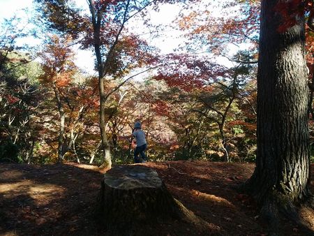 f:id:myukmyuk:20171119224601j:plain f:id:myukmyuk:20171119224601j:plain