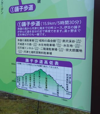 f:id:myukmyuk:20171119224734j:plain f:id:myukmyuk:20171119224734j:plain