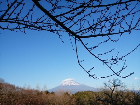 f:id:myukmyuk:20180106213119j:plain