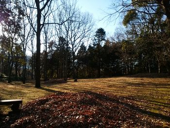 f:id:myukmyuk:20180106213139j:plain