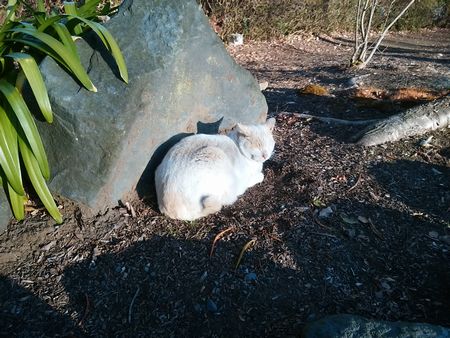 f:id:myukmyuk:20180106213156j:plain
