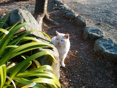 f:id:myukmyuk:20180106213208j:plain
