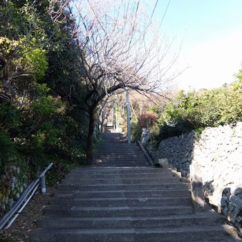 f:id:myukmyuk:20180107230705j:plain