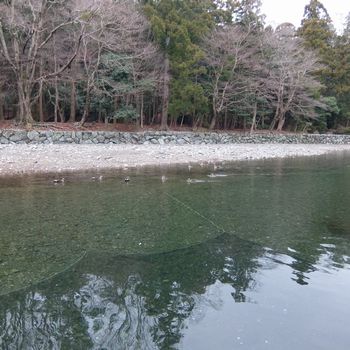 f:id:myukmyuk:20180114133556j:plain