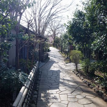 f:id:myukmyuk:20180312000044j:plain