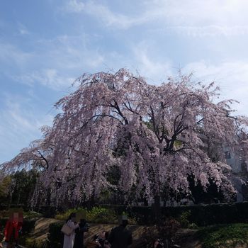 f:id:myukmyuk:20180324210231j:plain