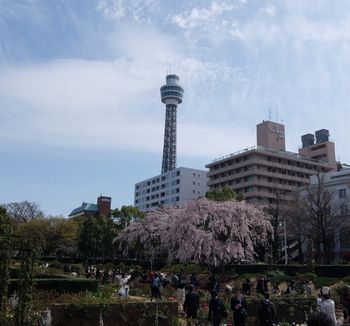 f:id:myukmyuk:20180324210251j:plain