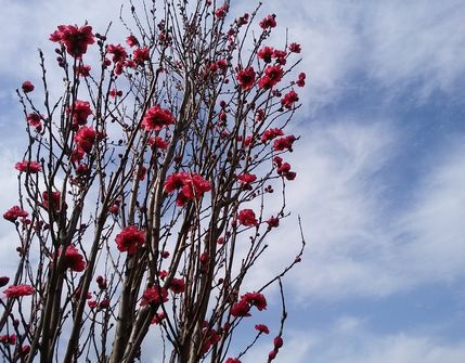f:id:myukmyuk:20180324210320j:plain