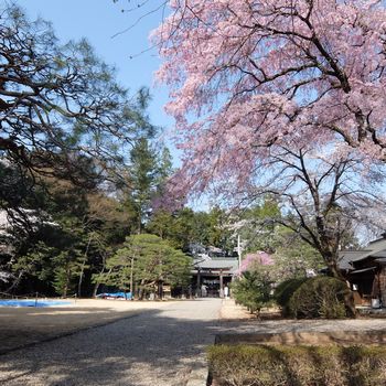 f:id:myukmyuk:20180402233657j:plain f:id:myukmyuk:20180402233657j:plain