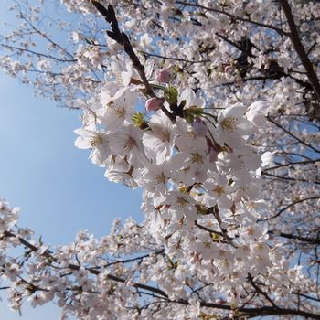 f:id:myukmyuk:20180402233736j:plain f:id:myukmyuk:20180402233736j:plain