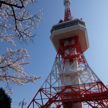 f:id:myukmyuk:20180402233828j:plain f:id:myukmyuk:20180402233828j:plain