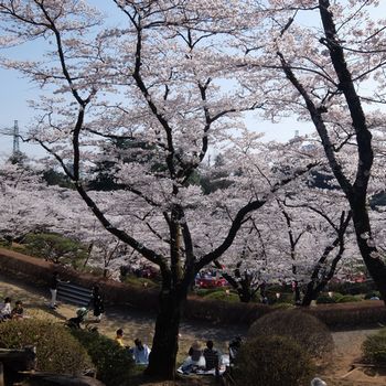 f:id:myukmyuk:20180403000119j:plain f:id:myukmyuk:20180403000119j:plain