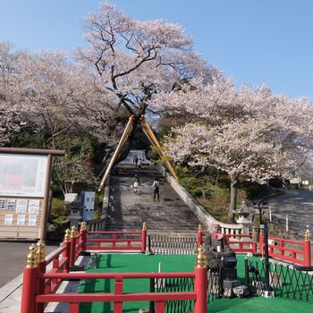 f:id:myukmyuk:20180403000137j:plain f:id:myukmyuk:20180403000137j:plain
