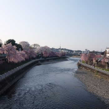 f:id:myukmyuk:20180403000232j:plain f:id:myukmyuk:20180403000232j:plain