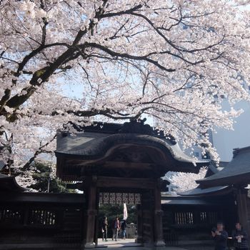 f:id:myukmyuk:20180403005936j:plain f:id:myukmyuk:20180403005936j:plain