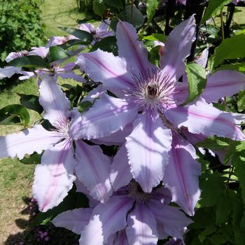 f:id:myukmyuk:20180512221105j:plain f:id:myukmyuk:20180512221105j:plain