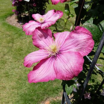 f:id:myukmyuk:20180512221110j:plain f:id:myukmyuk:20180512221110j:plain