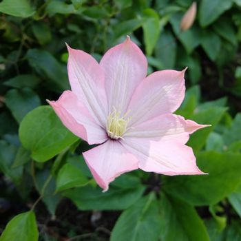 f:id:myukmyuk:20180512221114j:plain f:id:myukmyuk:20180512221114j:plain