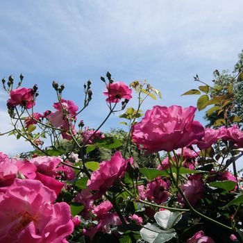 f:id:myukmyuk:20180512221145j:plain f:id:myukmyuk:20180512221145j:plain