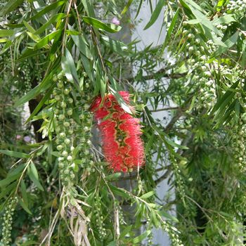 f:id:myukmyuk:20180512221154j:plain f:id:myukmyuk:20180512221154j:plain