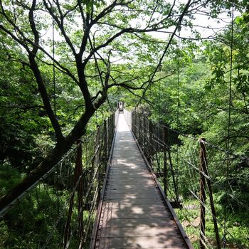 f:id:myukmyuk:20180512221202j:plain f:id:myukmyuk:20180512221202j:plain