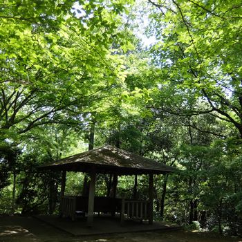 f:id:myukmyuk:20180512221206j:plain f:id:myukmyuk:20180512221206j:plain